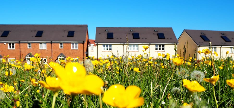 Houses for sale