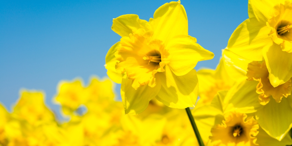 best time of year to buy a house